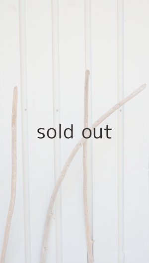 画像4: 棒流木3本セット