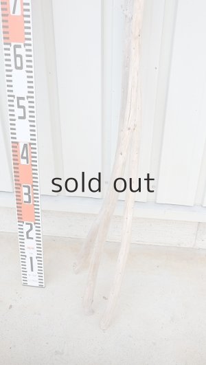 画像5: 棒流木3本セット