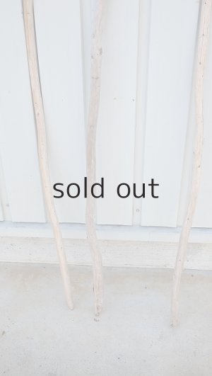 画像3: 棒流木3本セット