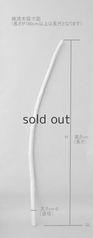 画像6: 棒流木3本セット