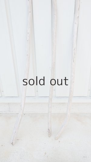 画像2: 棒流木3本セット