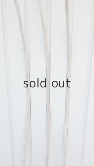 画像3: 棒流木3本セット