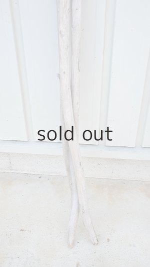 画像5: 棒流木3本セット