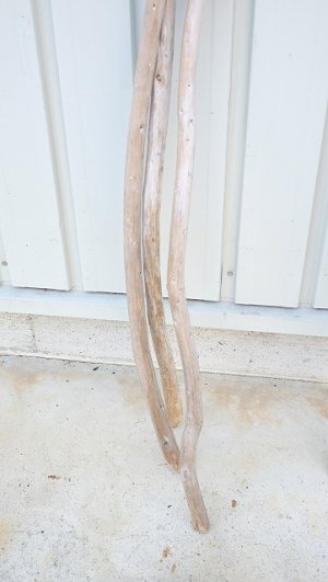 画像5: 棒流木3本セット