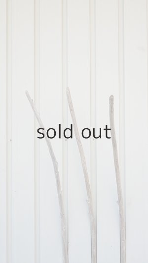 画像4: 棒流木3本セット