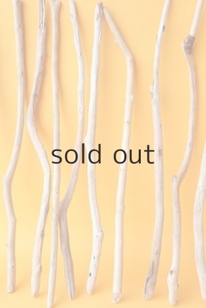 画像5: 小枝流木セット