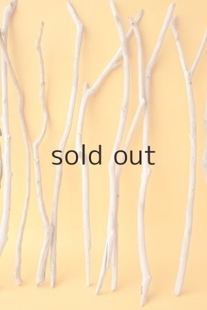 画像5: 小枝流木セット