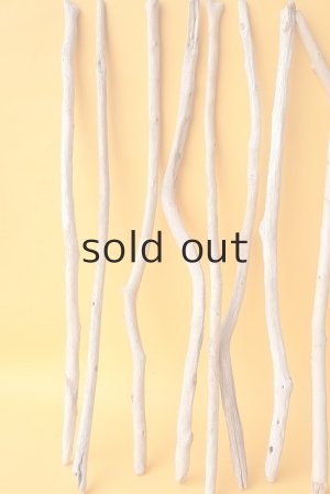 画像4: 小枝流木セット