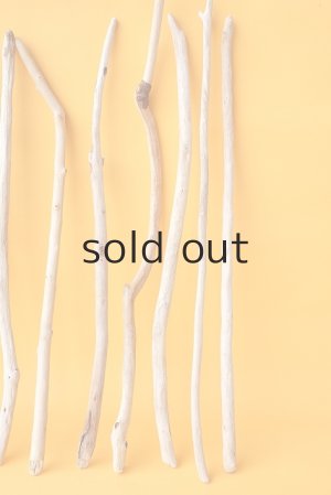 画像6: 小枝流木セット