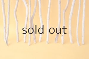 画像2: 小枝流木セット