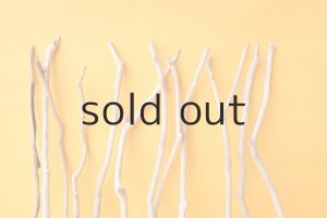 画像3: 小枝流木セット