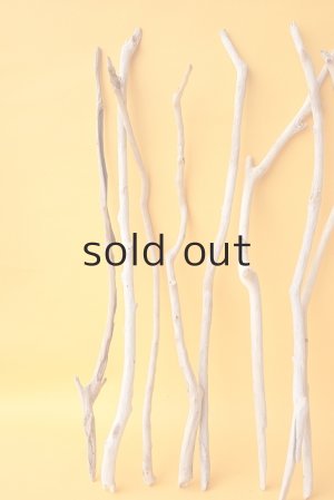 画像4: 小枝流木セット