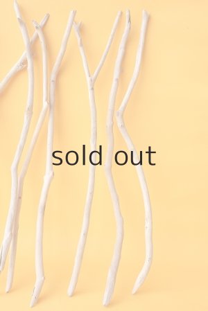 画像6: 小枝流木セット