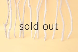 画像2: 小枝流木セット