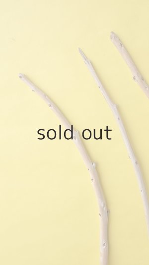 画像5: 棒流木3本セット