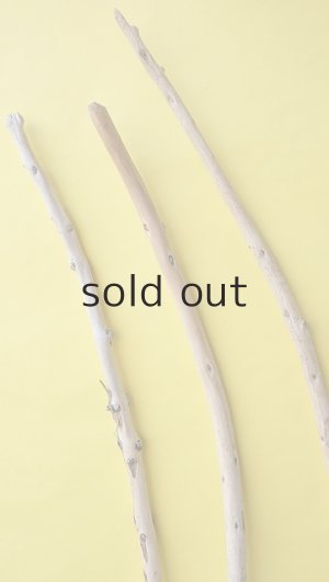 画像3: 棒流木3本セット