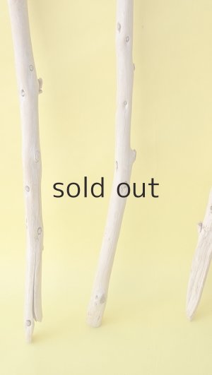 画像2: 棒流木3本セット