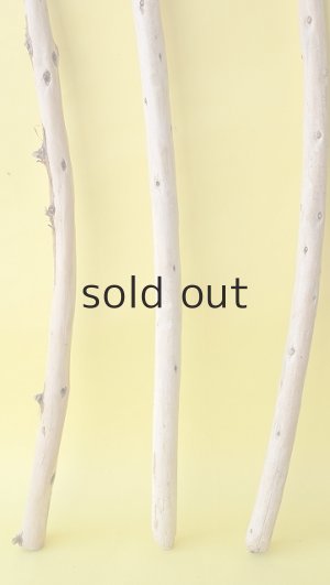 画像2: 棒流木3本セット