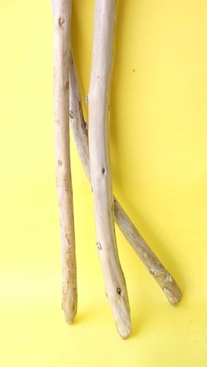 画像6: 棒流木3本セット