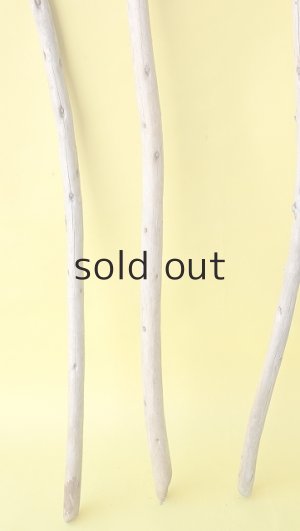 画像2: 棒流木3本セット