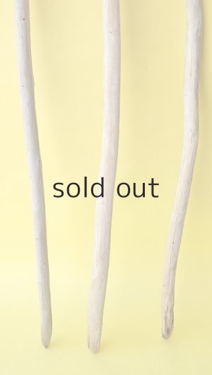 画像2: 棒流木3本セット