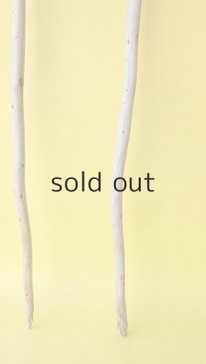 画像2: 棒流木3本セット