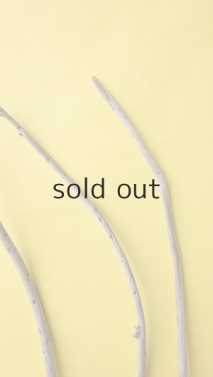 画像5: 棒流木3本セット