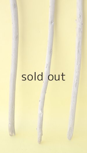 画像2: 棒流木3本セット