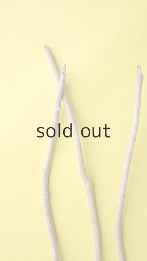 画像4: 棒流木3本セット