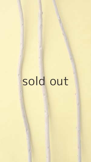 画像3: 棒流木3本セット