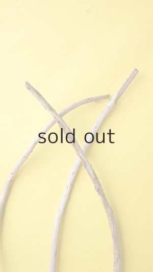 画像6: 棒流木3本セット