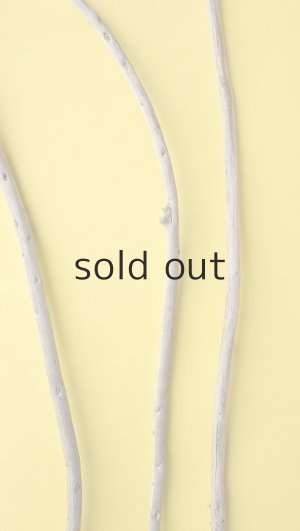 画像3: 棒流木3本セット