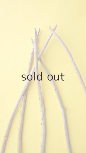 画像5: 棒流木5本セット