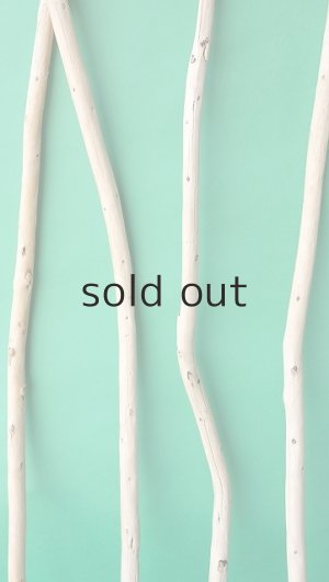 画像4: 棒流木セット