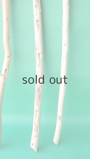 画像3: 棒流木セット