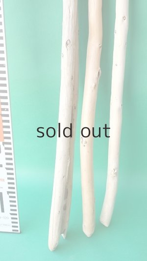 画像6: 棒流木セット