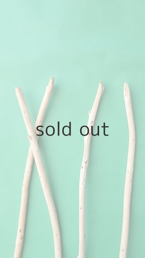 画像5: 棒流木セット