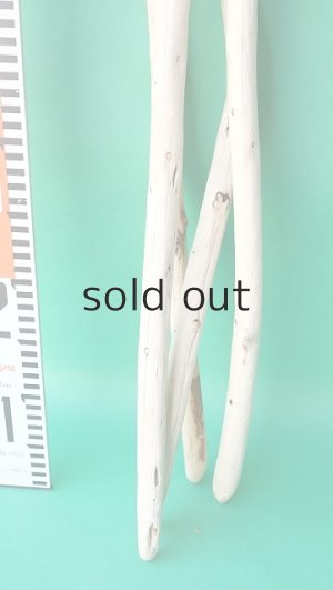 画像6: 棒流木セット