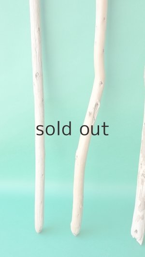 画像2: 棒流木セット