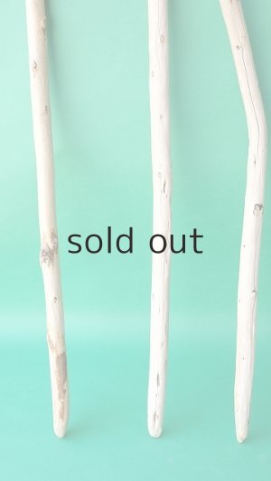 画像2: 棒流木セット