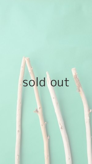 画像5: 棒流木セット