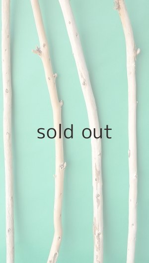 画像4: 棒流木セット