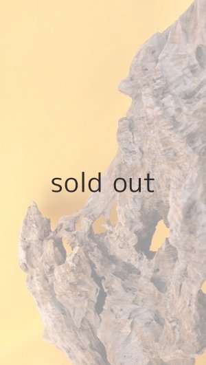 左側面浸食部分