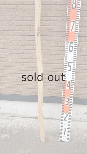 画像5: 棒流木・長尺