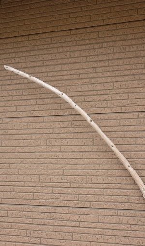 画像4: 棒流木・長尺