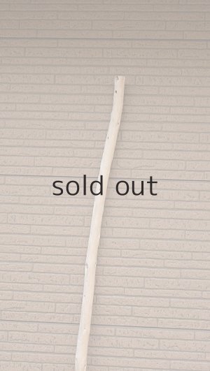 画像4: 棒流木・長尺