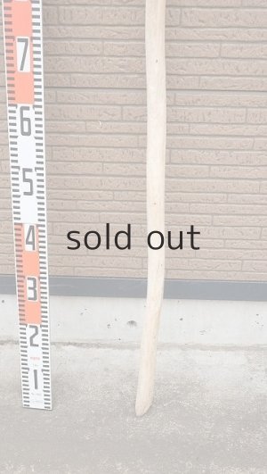 画像5: 棒流木・長尺