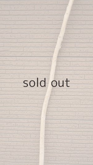 画像3: 棒流木・長尺