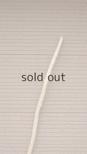 画像4: 棒流木・長尺