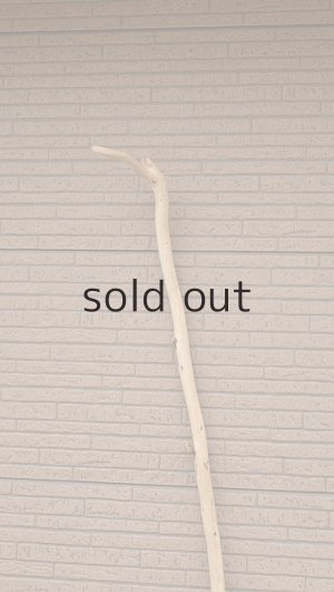 画像4: 棒流木・長尺